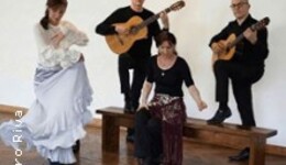 Tablao Flamenco - Pasión Espanola